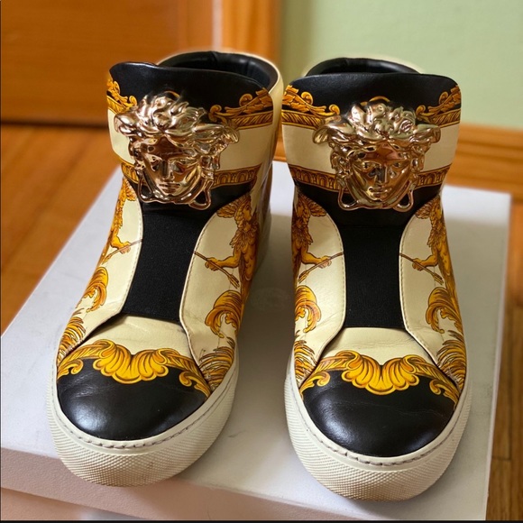 アロエ　メデューサ アロエ トンガエンシス メデューサ ドライガーデン ロック